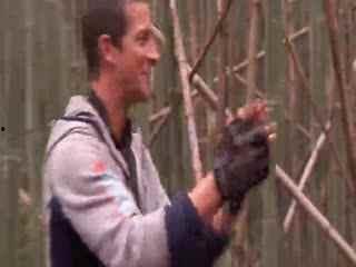 国产最强蜈蚣是谁啊视频,谁是视频中的佼佼者？