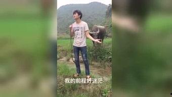 国产福利视频98,揭秘国内影视新潮流