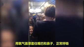 国产电影空姐被家暴视频,空姐遭遇无情虐待，社会呼吁严惩施暴者