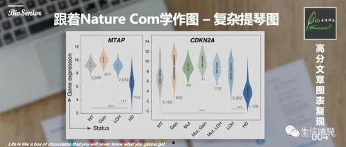 国产打促排针教程视频,轻松掌握促排针注射技巧