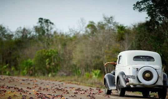 国产螃蟹走车视频大全 第2张 国产螃蟹走车视频大全 第2张