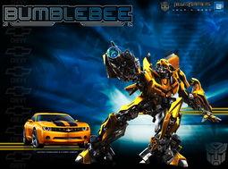 变形金刚国产短视频,国产短视频中的钢铁传奇  第2张