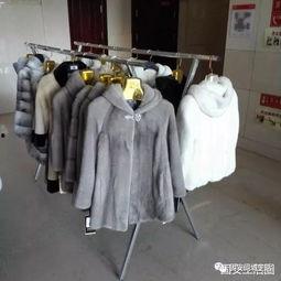 国产貂皮与进口貂皮视频,国产与进口貂皮品质对比揭秘  第1张