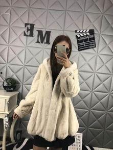 国产貂皮与进口貂皮视频,国产与进口貂皮品质对比揭秘  第3张