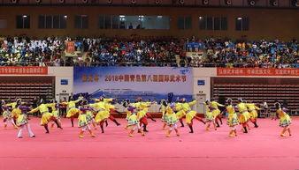 国产武术比武视频大全 第2张 国产武术比武视频大全 第2张