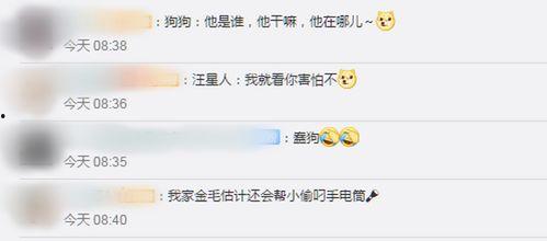 国产盗取网络监控视频,技术手段与防范策略